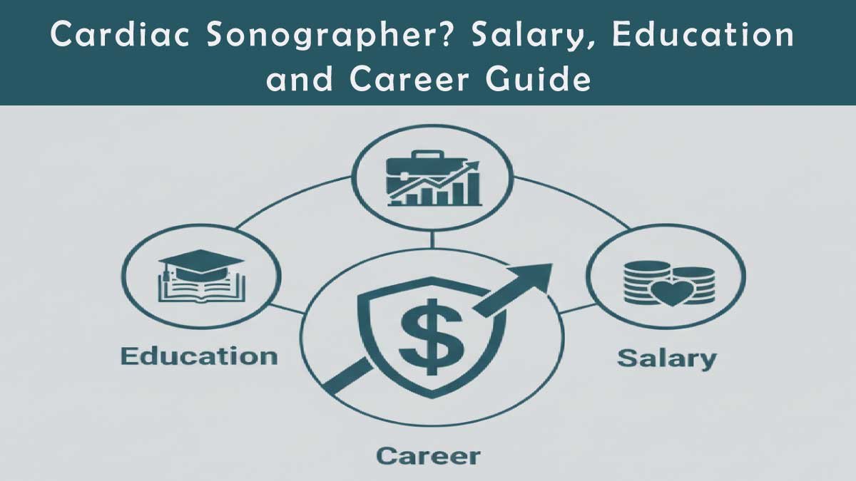 Cardiac Sonographer? Salary, Education, and Career Guide