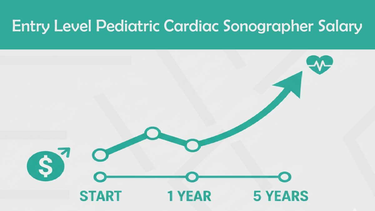Entry Level Pediatric Cardiac Sonographer Salary