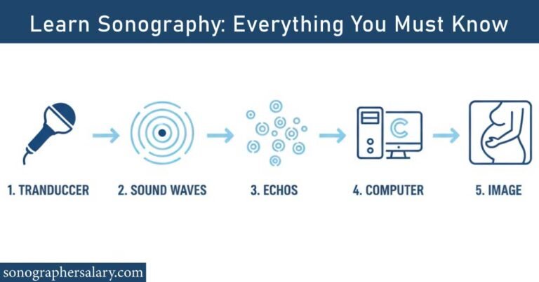 Learn Sonography: Everything You Must Know