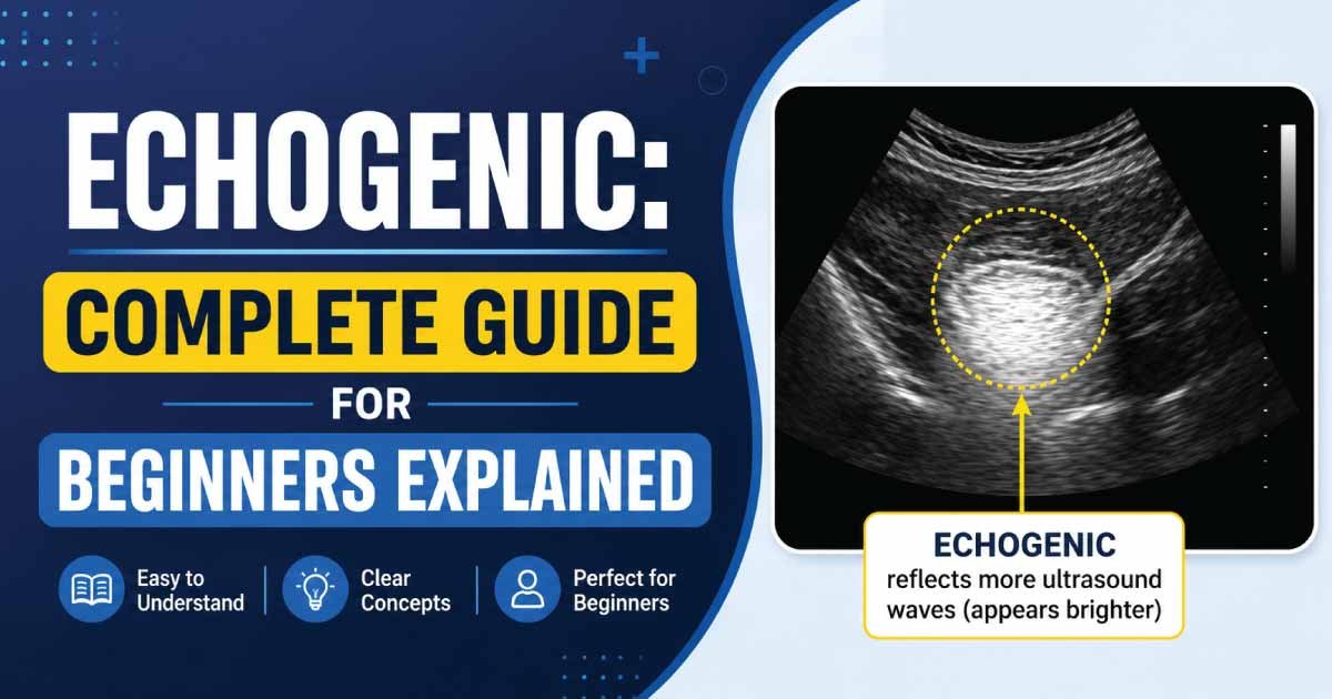 Echogenic: Complete Guide for Beginners Explained