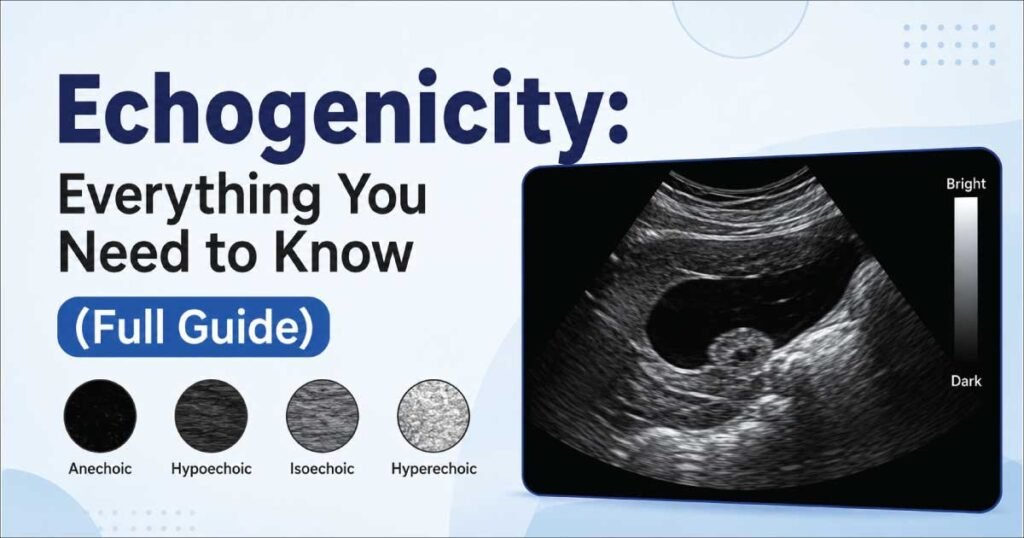 Echogenicity: Everything You Need To Know (Full Guide) - Sonographer Salary