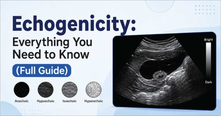 Echogenicity: Everything You Need to Know
