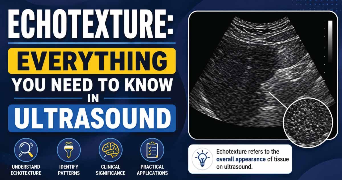 Echotexture: Everything You Need to Know in Ultrasound